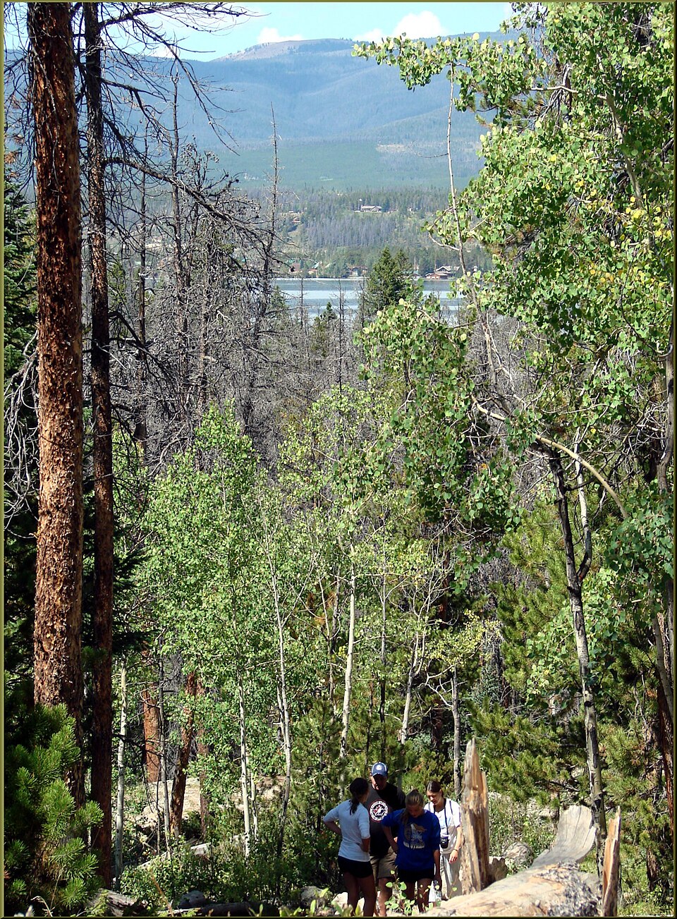 Adams Lake