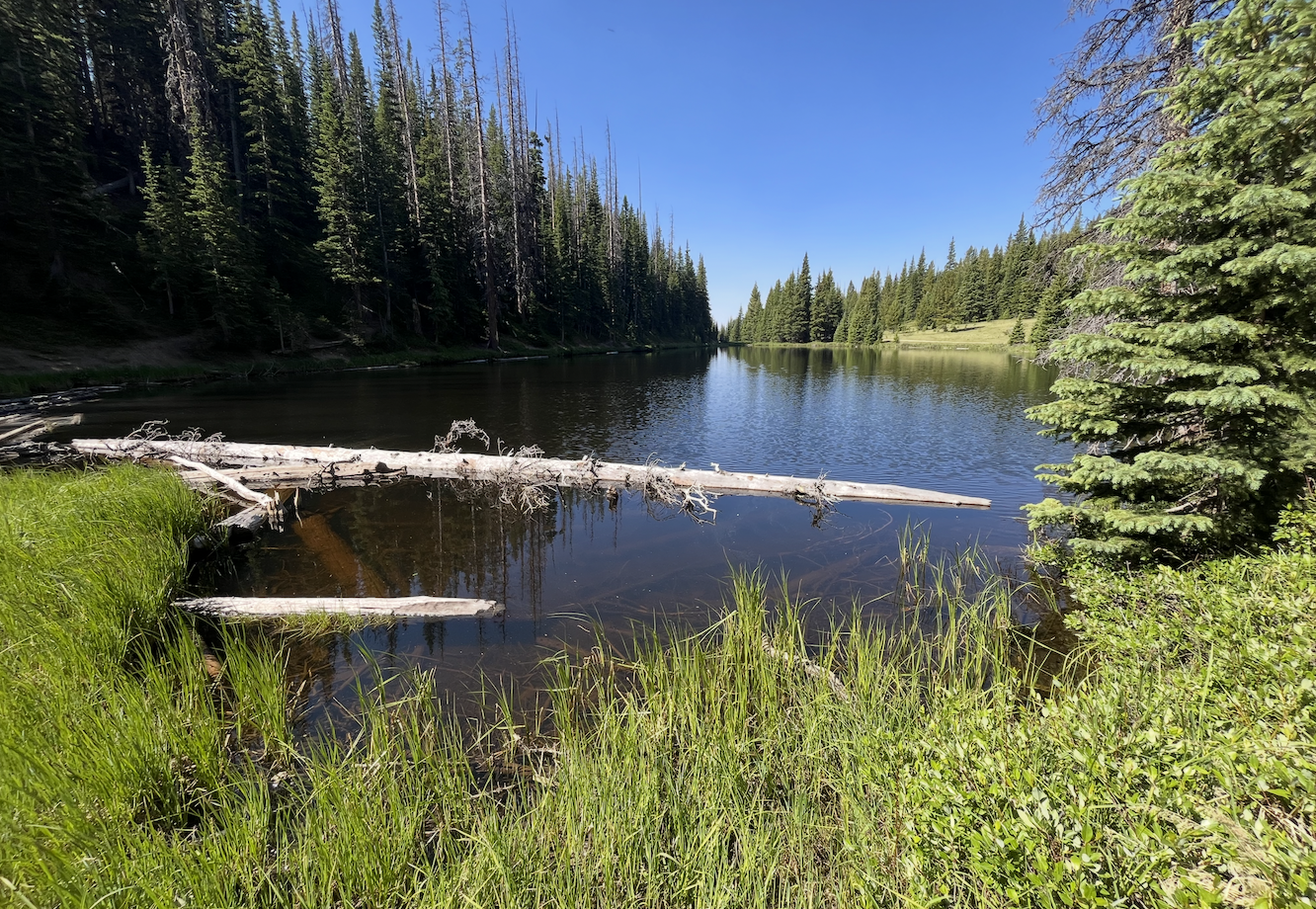 Lake Irene, Alpine Visitor Center / Trail Ridge, Rocky Mountain National Park