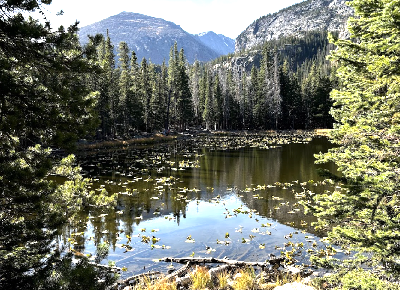 Nymph Lake, Bear Lake Corridor, Rocky Mountain National Park