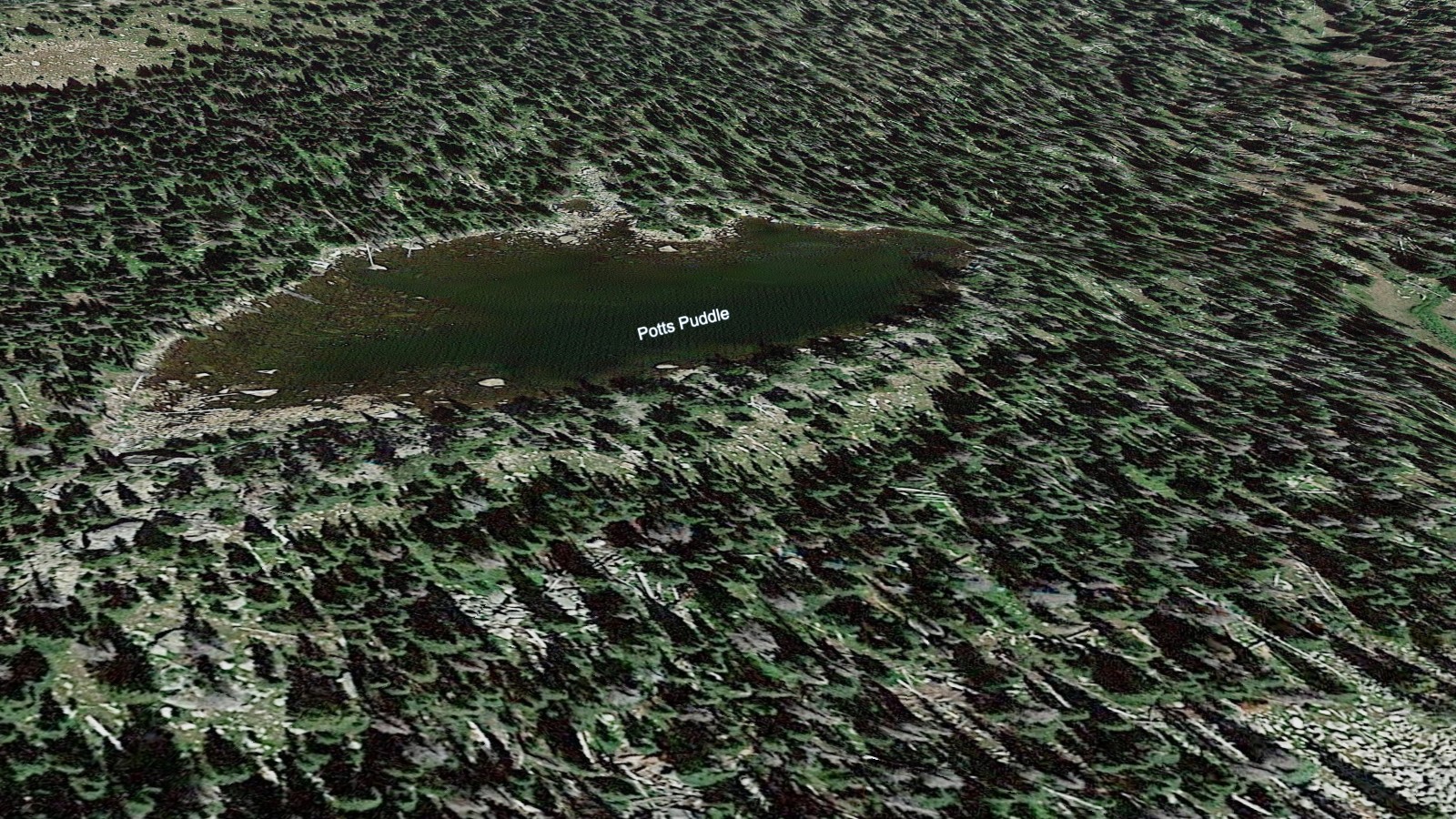 Potts Puddle, Horseshoe Park / Lawn Lake Area, Rocky Mountain National Park
