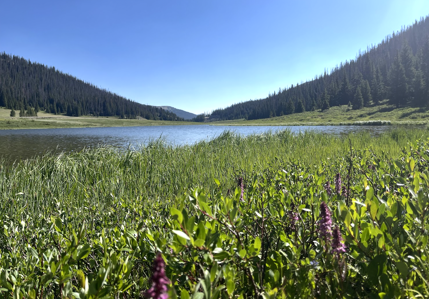 Poudre Lake, Alpine Visitor Center / Trail Ridge, Rocky Mountain National Park