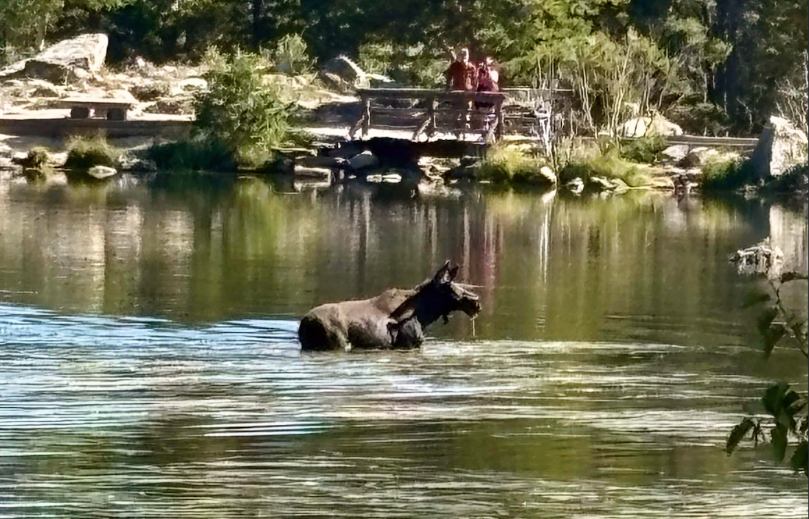 Sprague Lake, Bear Lake Corridor, Rocky Mountain National Park